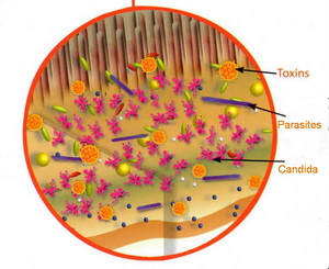 personal training, fitness training, fitness classes, bootcamp fitness, weight loss, fat loss